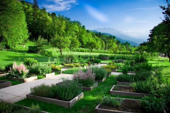 Maison des anciens remèdes